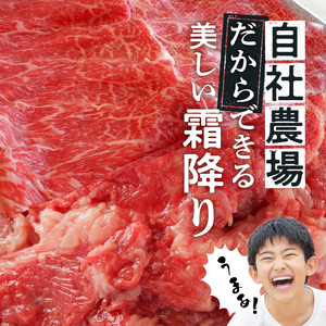 【6回定期便】 厳選 ! 国産 牛肉 切り落とし 400g 小分け 真空パック (200g×2)