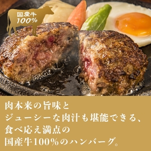 （冷凍） 国産牛肉100％ 食べ応え満点 手作り・手ごね ハンバーグ 750g ／ 歩商事 自家製タレ 贈答用 ギフト 奈良県 田原本町