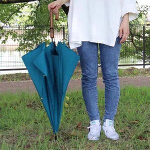 レディース雨傘 長傘 シャンタン無地 手開き 日本製 ワイン 173202 ／ まちづくり観光振興機構 モダン 高級感 奈良県 田原本町