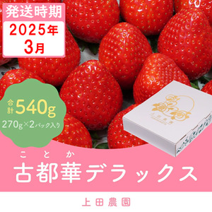 冷蔵）【３月発送分】イチゴ 奈良県産高級ブランド品種「古都華