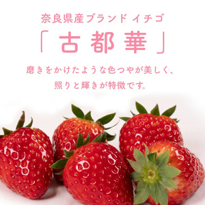 （冷蔵）【定期便全3回】（2月・3月・4月）イチゴ 奈良県産高級ブランド品種「古都華」デラックス（270g×2パック） ／ 上田農園 苺 いちご 果物 フルーツ 甘い 奈良県 田原本町