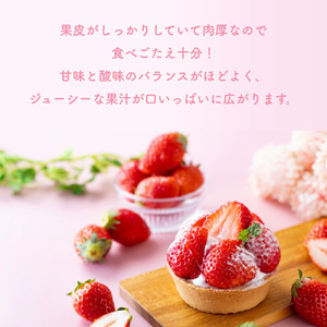 （冷蔵）【定期便全3回】（2月・3月・4月）イチゴ 奈良県産高級ブランド品種「古都華」デラックス（270g×2パック） ／ 上田農園 苺 いちご 果物 フルーツ 甘い 奈良県 田原本町