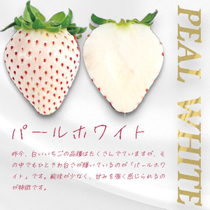 （冷蔵）３色いちご ／ 前田ストロベリー研究所 古都華 ピンク色の淡雪 パールホワイト ゆきぼたん 果物 フルーツ 甘い 奈良県 田原本町