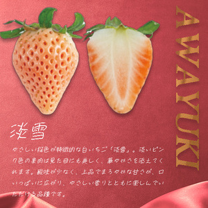 （冷蔵）３色いちご ／ 前田ストロベリー研究所 古都華 ピンク色の淡雪 パールホワイト ゆきぼたん 果物 フルーツ 甘い 奈良県 田原本町