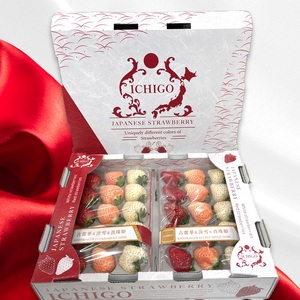 （冷蔵）３色いちご ／ 前田ストロベリー研究所 古都華 ピンク色の淡雪 パールホワイト ゆきぼたん 果物 フルーツ 甘い 奈良県 田原本町