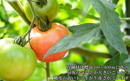 【極濃搾り】曽爾高原特産トマトの無添加100%トマトジュース(小)1ダース