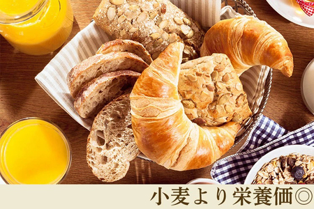 奈良県曽爾村のお米で作った曽爾村産米粉のもちもちロスパン10個入り /パン 米粉パン 冷凍パン ロスパン 