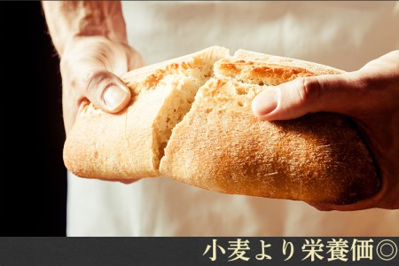 パン好きのためのパン 米粉を使ったカリふわバゲット ふんわり自家製米粉バゲット6本入 / 米・パン バゲット 冷凍