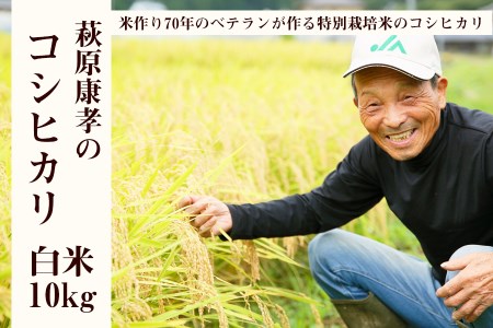 特別栽培米コシヒカリ 米作り70年の農家が作る特別栽培米 令和5年産特別栽培米 萩原康孝のコシヒカリ白米10㎏