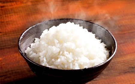 特別栽培米コシヒカリ 米作り70年の農家が作る特別栽培米 令和5年産特別栽培米 萩原康孝のコシヒカリ白米10㎏