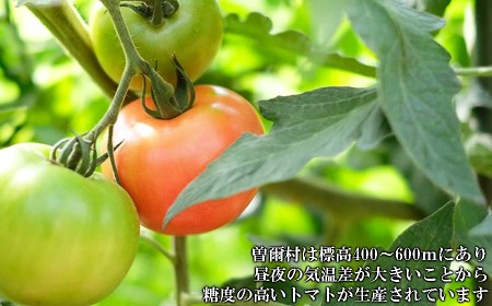 トマトジュース 無塩トマトジュース //【極濃搾り】曽爾高原特産トマトの無添加100％トマトジュース