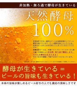 【北海道・沖縄県宛限定】奈良県のクラフトビール インターナショナルビアカップ金賞受賞ブルワリー 名水を使った曽爾高原ビール12本セット