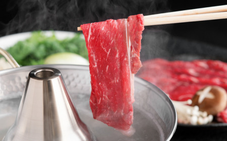 【定期便3ヵ月】北海道産ブランド牛の赤身1kg(スライス800g・切り落とし200g)  BHRJ023 | 赤身 牛肉