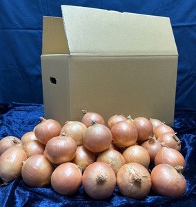 【数量限定訳あり品】玉ねぎＳサイズ・10㎏ （2025年12月上旬から順次発送）  BHRG147