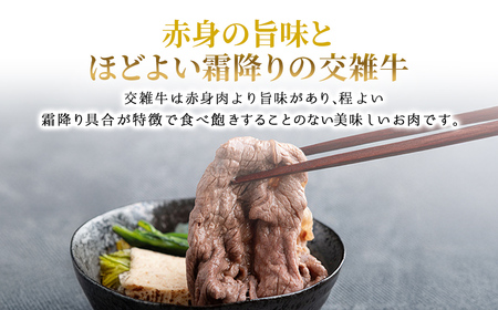 北海道産交雑牛サーロインステーキ 600g BHRJ036