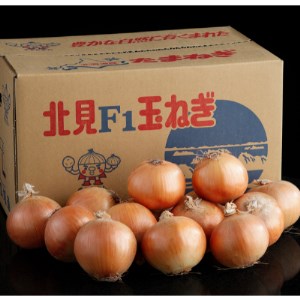 北海道jaびほろ 玉ねぎ10kg 北海道美幌町 ふるさと納税サイト ふるなび