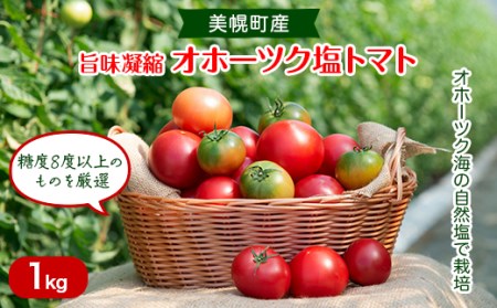 【先行受付】美幌町産・旨味凝縮のオホーツク塩トマト 1kg【1113877】