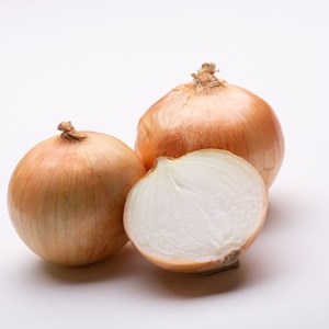 北海道産有機jas 玉ねぎ10kg 北海道美幌町 ふるさと納税サイト ふるなび 北海道産有機jas 玉ねぎ10kg 北海道美幌町 ふるさと納税サイト ふるなび