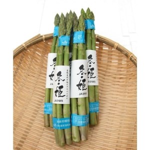 希少!冬季生産伏せ込み促成栽培アスパラ「冬姫」2L・Lセット 約1kg【1316740】