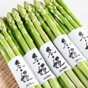 希少!冬期生産伏せ込み促成栽培アスパラ「冬姫」M~L 約1kg【1316742】
