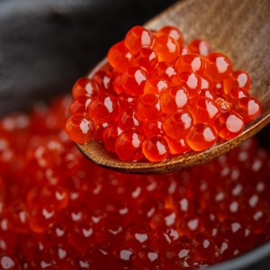 北海道オホーツク産 鱒いくら特製醤油漬け 合計500g(100g×5パック)【1354777】