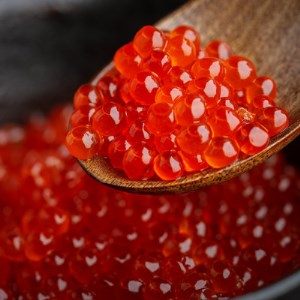北海道オホーツク産 鱒いくら特製醤油漬け 合計800g(100g×8パック)【1354778】