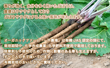 美幌町産・有機JAS 土つきごぼう 5kg ごぼう 土つきごぼう 北海道 美幌町 送料無料 BHRG011