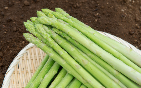 【先行予約】2026年産 ハウスアスパラ(夏芽)2Lサイズ 約1kg【配送不可地域：離島】（2026年7月1日より順次発送） BHRG016 | アスパラ