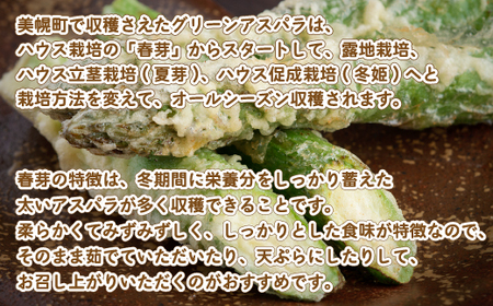 [先行受付]2025年産 柔らかくてみずみずしい朝取りグリーンアスパラ(春芽)3L 1kg【配送不可地域：離島】 アスパラ 野菜 健康 北海道 美幌町 送料無料 BHRG028