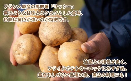 じゃがいも「サッシー」Lサイズ・10kg じゃがいも イモ いも サッシー 北海道 美幌町 送料無料 BHRG035 じゃがいも ジャガイモ いも 野菜 じゃがいも ジャガイモ いも 野菜 じゃがいも ジャガイモ いも 野菜 じゃがいも ジャガイモ いも 野菜 じゃがいも ジャガイモ いも 野菜 じゃがいも ジャガイモ いも 野菜 じゃがいも ジャガイモ いも 野菜 じゃがいも ジャガイモ いも 野菜 じゃがいも ジャガイモ いも 野菜 じゃがいも ジャガイモ いも 野菜 じゃがいも ジャガイモ いも 野菜 じゃがいも ジャガイモ いも 野菜 じゃがいも ジャガイモ いも 野菜 じゃがいも ジャガイモ いも 野菜 じゃがいも ジャガイモ いも 野菜 じゃがいも ジャガイモ いも 野菜 じゃがいも ジャガイモ いも 野菜 じゃがいも ジャガイモ いも 野菜 じゃがいも ジャガイモ いも 野菜 じゃがいも ジャガイモ いも 野菜 じゃがいも ジャガイモ いも 野菜 じゃがいも ジャガイモ いも 野菜 じゃがいも ジャガイモ いも 野菜 じゃがいも ジャガイモ いも 野菜 じゃがいも ジャガイモ いも 野菜 じゃがいも ジャガイモ いも 野菜 じゃがいも ジャガイモ いも 野菜 じゃがいも ジャガイモ いも 野菜 じゃがいも ジャガイモ いも 野菜 じゃがいも ジャガイモ いも 野菜 じゃがいも ジャガイモ いも 野菜 じゃがいも ジャガイモ いも 野菜 じゃがいも ジャガイモ いも 野菜 じゃがいも ジャガイモ いも 野菜 じゃがいも ジャガイモ いも 野菜 じゃがいも ジャガイモ いも 野菜 じゃがいも ジャガイモ いも 野菜 じゃがいも ジャガイモ いも 野菜 じゃがいも ジャガイモ いも 野菜 じゃがいも ジャガイモ いも 野菜 じゃがいも ジャガイモ いも 野菜 じゃがいも ジャガイモ いも 野菜 じゃがいも ジャガイモ いも 野菜 じゃがいも ジャガイモ いも 野菜 じゃがいも ジャガイモ いも 野菜 じゃがいも ジャガイモ いも 野菜 じゃがいも ジャガイモ いも 野菜 じゃがいも ジャガイモ いも 野菜 じゃがいも ジャガイモ いも 野菜 じゃがいも ジャガイモ いも 野菜 じゃがいも ジャガイモ いも 野菜 じゃがいも ジャガイモ いも 野菜 