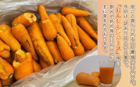 【先行予約】訳あり有機にんじんジュース用(割れ/折れ等) 10kg【配送不可地域:離島】(2025年9月上旬より順次発送) BHRG068