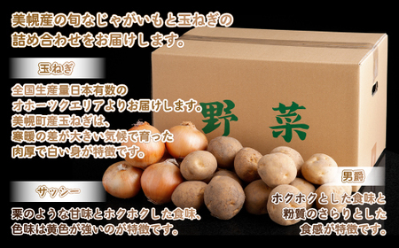 2種類のじゃがいもと玉ねぎの詰め合わせ 約8kgセット 野菜 じゃがいも いも 玉ねぎ たまねぎ カレーセット 北海道 美幌町 送料無料 BHRG080