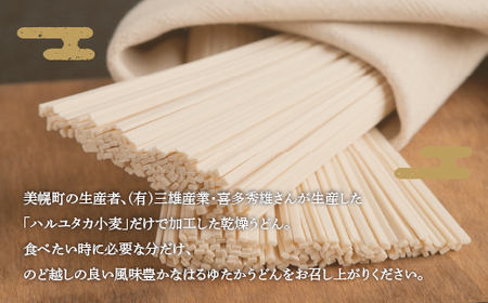 大人気の北海道小麦使用「はるゆたかうどん 細麺」 うどん 麺 めん 北海道 美幌町 送料無料 BHRH014