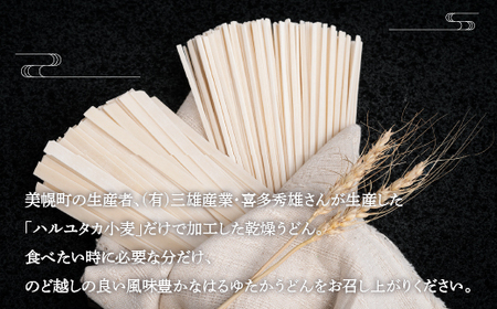 大人気の北海道小麦使用「はるゆたかうどん　平麺＆細麺」 うどん 麺 めん 北海道 美幌町 送料無料 BHRH015