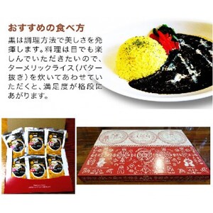 片岡の里春ちゃんの黒カレー　ファミリーセット【1450883】
