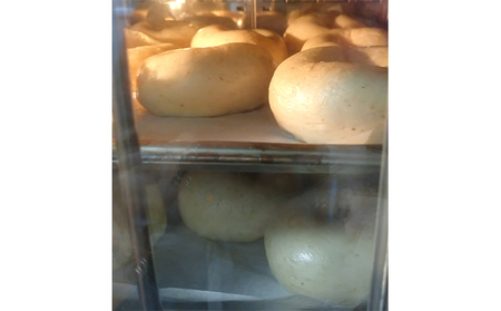 噛み応えと発酵に拘った当店定番ベーグル　ナッツくん12個 パン 朝食 冷凍可 