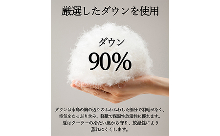 【春夏用】洗える羽毛肌掛け布団シングルサイズダウン90％0.3kg洗濯可能北欧調ガーブカーサグレー