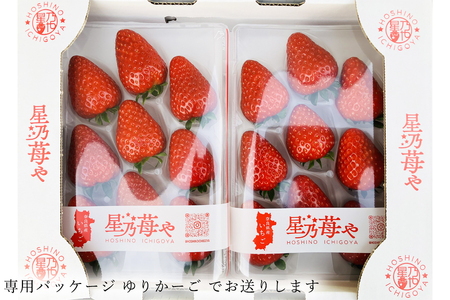 いちご 奈良県ブランドいちご 古都華2パック1月発送 