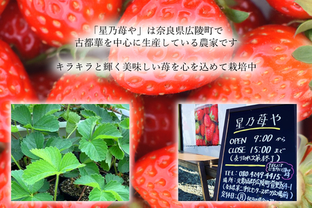 いちご 奈良県ブランドいちご 古都華2パック3月発送