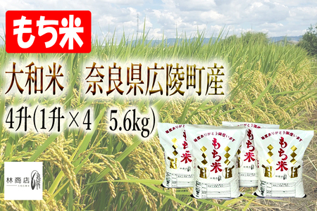 ※先行予約受付中※【令和4年産新米】大和米 奈良県広陵町産 もち白米 3升(1升×3 4.2kg)