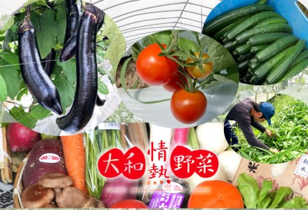 大和情熱野菜の玉手箱／旬の野菜セット／季節の野菜///旬 野菜 季節 セット 詰合せ 厳選 春 夏 秋 冬 直送 農家 無農薬 奈良県 広陵町