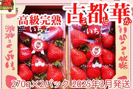 いちご好きのためのいちご 奈良県ブランドいちご 「古都華（ことか）」2025年3月発送 / いちごいちごいちごいちごいちごいちごいちごいちごいちごいちごいちごいちごいちごいちごいちごいちごいちごいちごいちごいちごいちごいちごいちごいちごいちごいちごいちごいちごいちごいちごいちごいちごいちごいちごいちごいちごいちごいちごいちごいちごいちごいちごいちごいちごいちごいちごいちごいちごいちごいちごいちごいちごいちごいちごいちごいちごいちごいちごいちごいちごいちごいちごいちごいちごいちごいちごいちごいちごいちごいちごいちごいちごいちごいちごいちごいちごいちごいちごいちごいちごいちごいちごいちごいちごいちごいちごいちごいちごいちごいちごいちごいちごいちごいちごいちごいちごいちごいちごいちごいちごいちごいちごいちごいちごいちごいちごいちごいちごいちごいちごいちごいちごいちごいちごいちごいちごいちごいちごいちごいちごいちごいちごいちごいちごいちごいちごいちごいちごいちごいちごいちごいちごいちごいちごいちごいちごいちごいちごいちごいちごいちごいちごいちごいちごいちごいちごいちごいちごいちごいちごいちごいちごいちごいちごいちごいちごいちごいちごいちごいちごいちごいちごいちごいちごいちごいちごいちごいちごいちごいちごいちごいちご いちごいちごいちごいちごいちごいちごいちごいちごいちごいちごいちごいちごいちごいちごいちごいちごいちごいちごいちごいちごいちごいちごいちごいちごいちごいちごいちごいちごいちごいちごいちごいちごいちごいちごいちごいちごいちごいちごいちごいちごいちごいちごいちごいちごいちごいちごいちごいちごいちごいちごいちごいちごいちごいちごいちごいちごいちごいちごいちごいちごいちごいちごいちごいちごいちごいちごいちごいちごいちごいちごいちごいちごいちごいちごいちごいちごいちごいちごいちごいちごいちごいちごいちごいちごいちごいちごいちごいちごいちごいちごいちごいちごいちごいちごいちごいちごいちごいちごいちごいちごいちごいちごいちごいちごいちごいちごいちごいちごいちごいちごいちごいちごいちごいちご