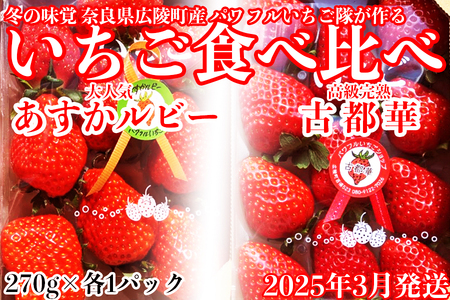 【先行予約】【数量限定】いちご好きのためのいちご 奈良県ブランドいちご 「古都華」「あすかルビー」2024年3月発送 /  奈良県広陵町の大人気フルーツ冬の味覚の苺 先行予約 / いちご イチゴ 苺