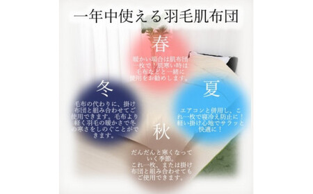 洗える 羽毛肌掛け布団 シングル 春夏用 ダウン 90%0.3kg 北欧調ガーブカーサ ブルー羽毛布団 布団 寝具 ふとん 掛布団 春 夏 送料無料 非圧縮