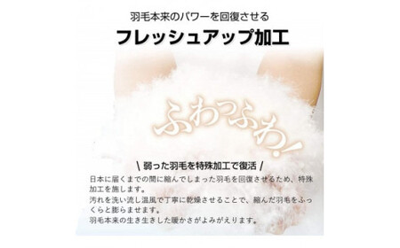 洗える 羽毛肌掛け布団 シングル 春夏用 ダウン 90%0.3kg 北欧調ガーブカーサ ブルー羽毛布団 布団 寝具 ふとん 掛布団 春 夏 送料無料 非圧縮