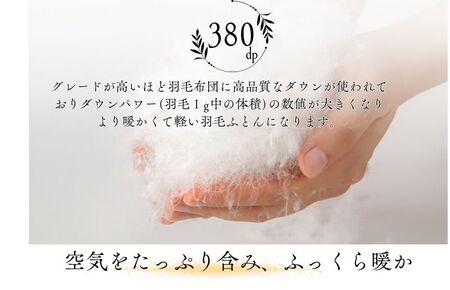 羽毛布団 クイーン クリーム ダウン93%1.8kg 羽毛掛けふとん 寝具