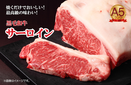 黒毛和牛 A5ランク サーロインブロック 500g 冷蔵 国産牛 ステーキ ブロック肉 BBQ