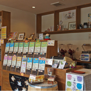 【コーヒー豆定期便】珈琲粉 200g×2銘柄 3ヶ月 コーヒー粉 中挽き 