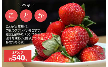 【2026年/先行予約】いちご 古都華 ことか 4P 1080g いちご 人気 奈良