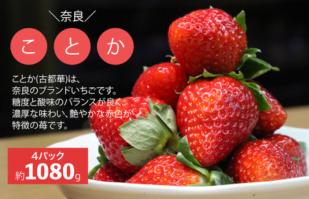 【2026年発送先行予約】いちご 2回 いちご定期便 古都華 270g×4パック